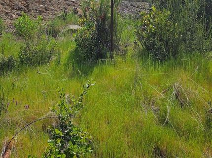 1641 Hidden Bridge Rd, El Dorado Hills, CA 95762 Photo