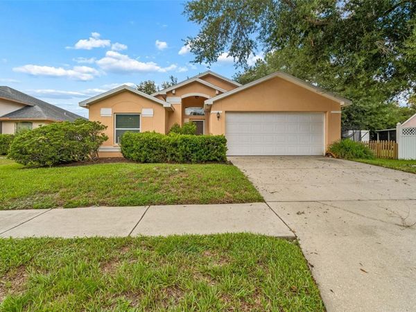 1103 STANDING REED PLACE, WESLEY CHAPEL, FL 33543