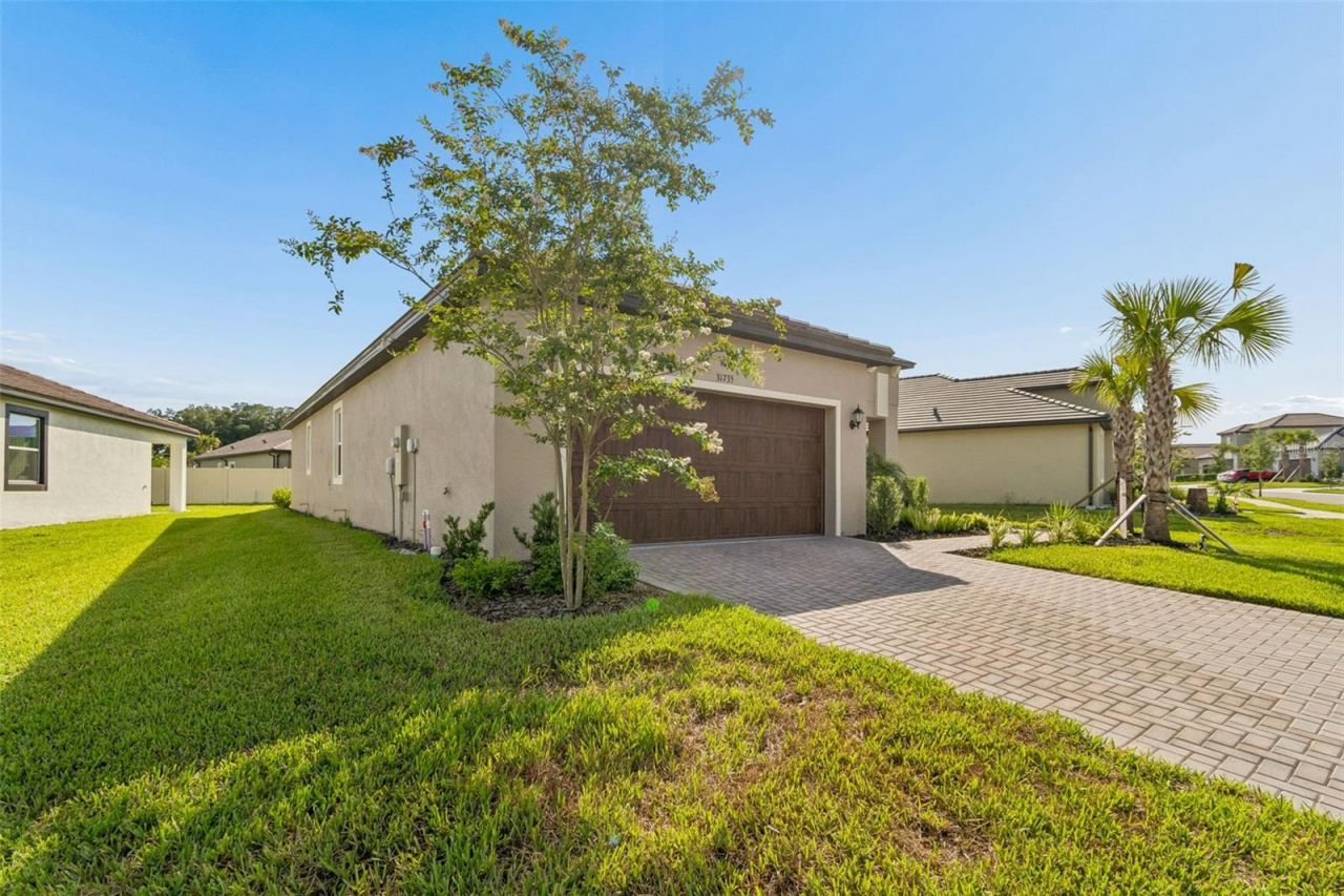 31735 Griffin Sands Lane , San Antonio, FL 33576 Photo