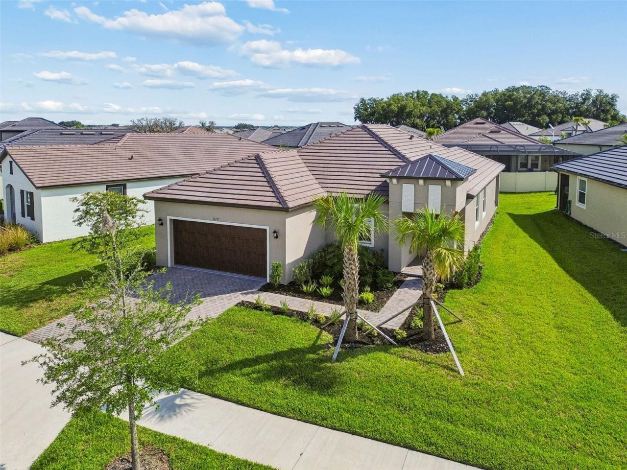 31735 Griffin Sands Lane , San Antonio, FL 33576 Photo