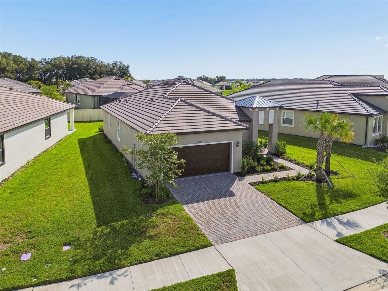 31735 Griffin Sands Lane , San Antonio, FL 33576 Photo
