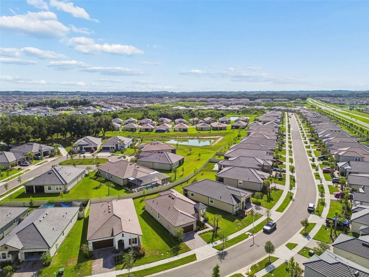 31735 Griffin Sands Lane , San Antonio, FL 33576 Photo
