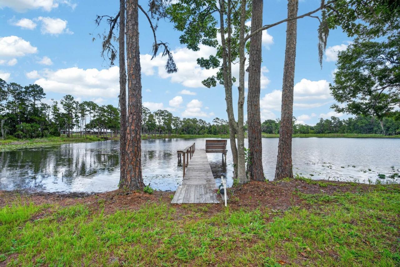 350 Fox Hollow Farms Road, Pierson, FL 32180 Photo