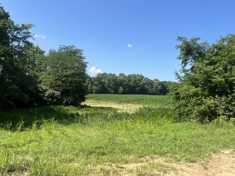 0 Stephen Young , Camden, OH 45311 Photo 12