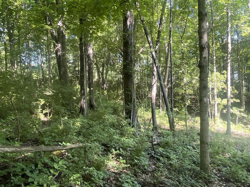 0 Stephen Young , Camden, OH 45311 Photo 20