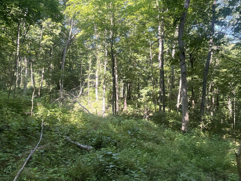 0 Stephen Young , Camden, OH 45311 Photo 29