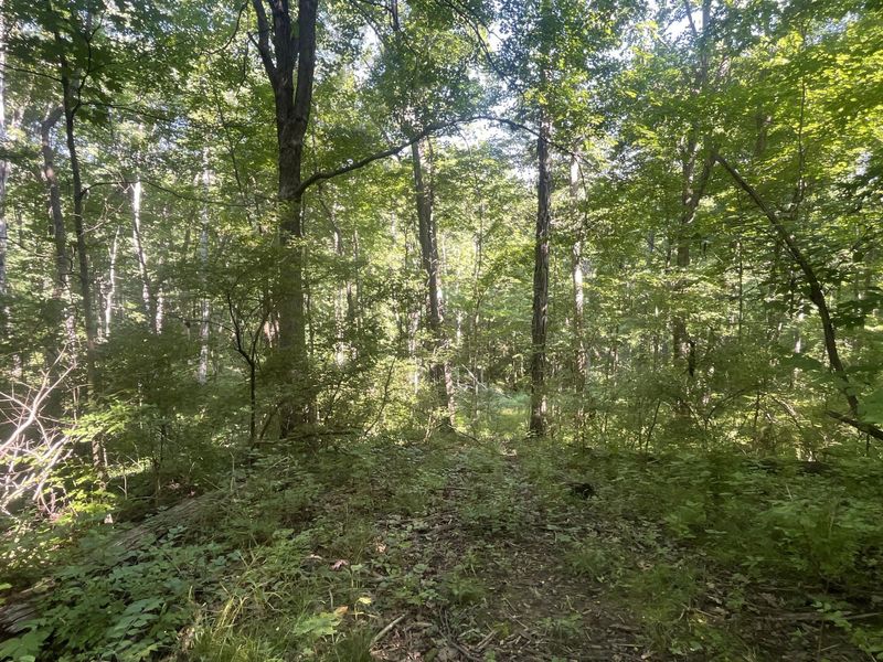 0 Stephen Young , Camden, OH 45311 Photo 30