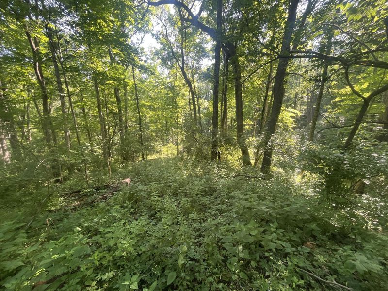 0 Stephen Young , Camden, OH 45311 Photo 33