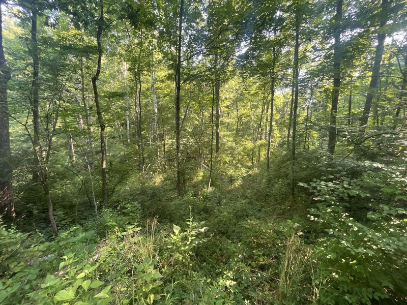 0 Stephen Young , Camden, OH 45311 Photo 48