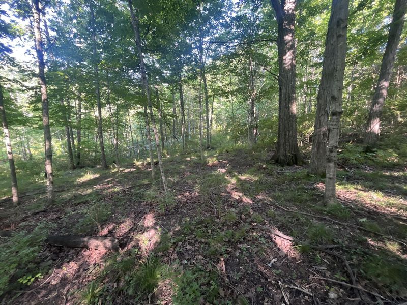 0 Stephen Young , Camden, OH 45311 Photo 51