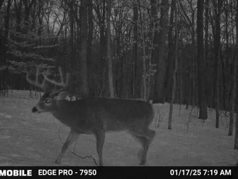 0 Stephen Young , Camden, OH 45311 Photo 59