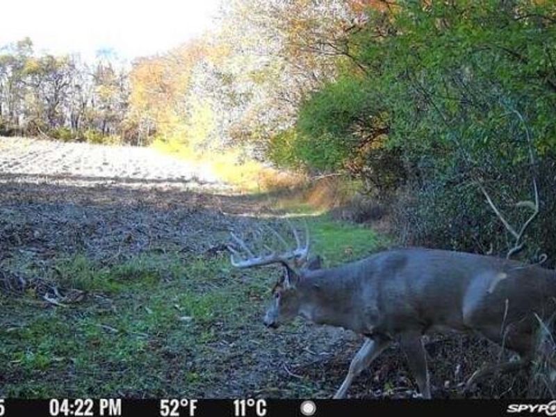 0 Stephen Young , Camden, OH 45311 Photo 60