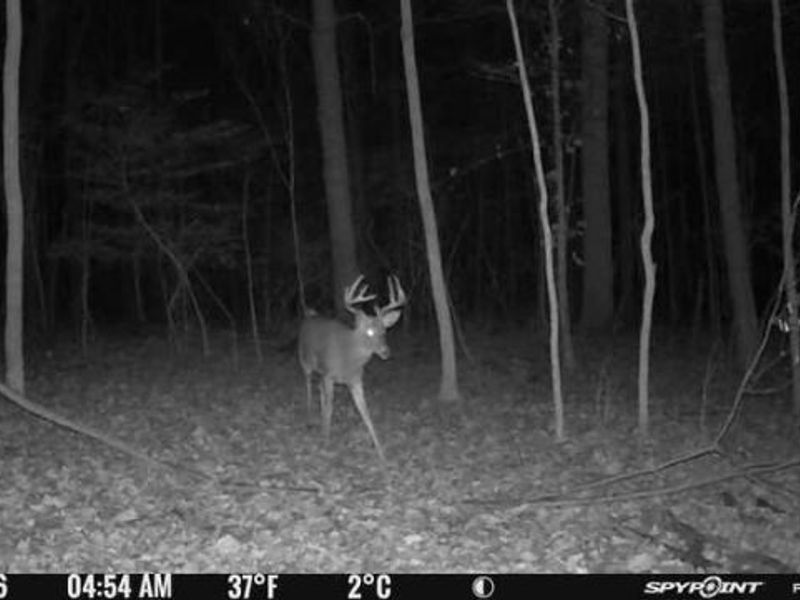0 Stephen Young , Camden, OH 45311 Photo 62