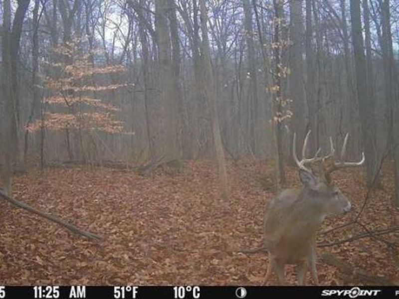 0 Stephen Young , Camden, OH 45311 Photo 64