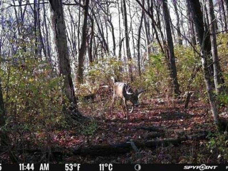 0 Stephen Young , Camden, OH 45311 Photo 65
