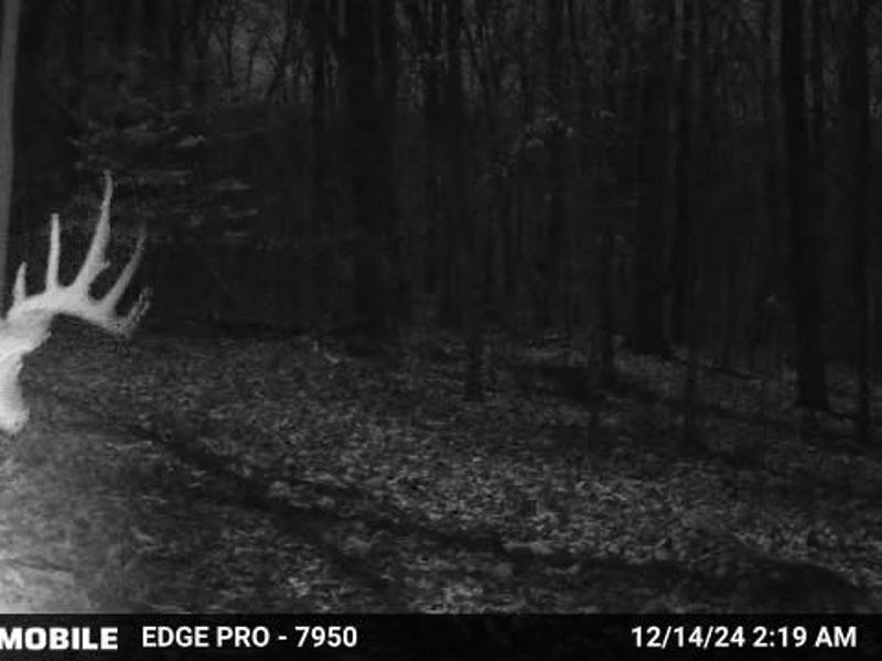 0 Stephen Young , Camden, OH 45311 Photo 66