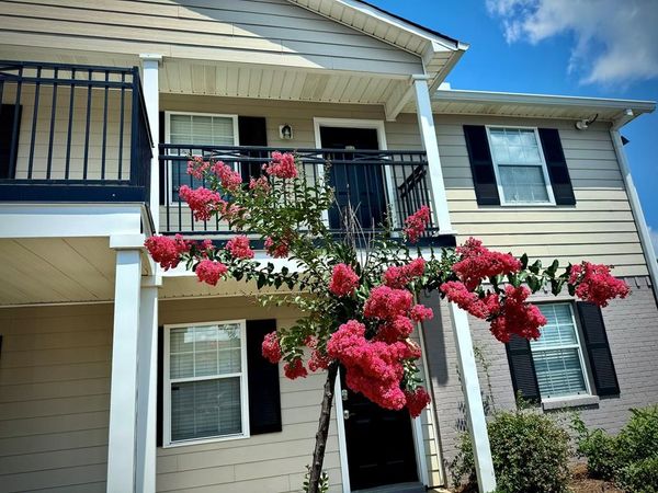 2112 Old Taylor Road #m8, Oxford, MS 38655