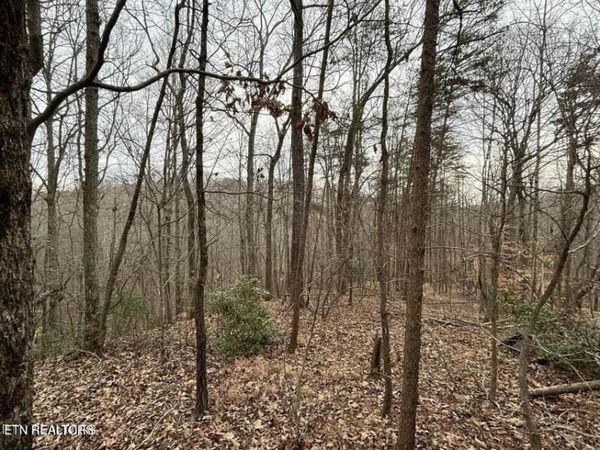 Black Hawk Drive, Ten Mile, TN 37880