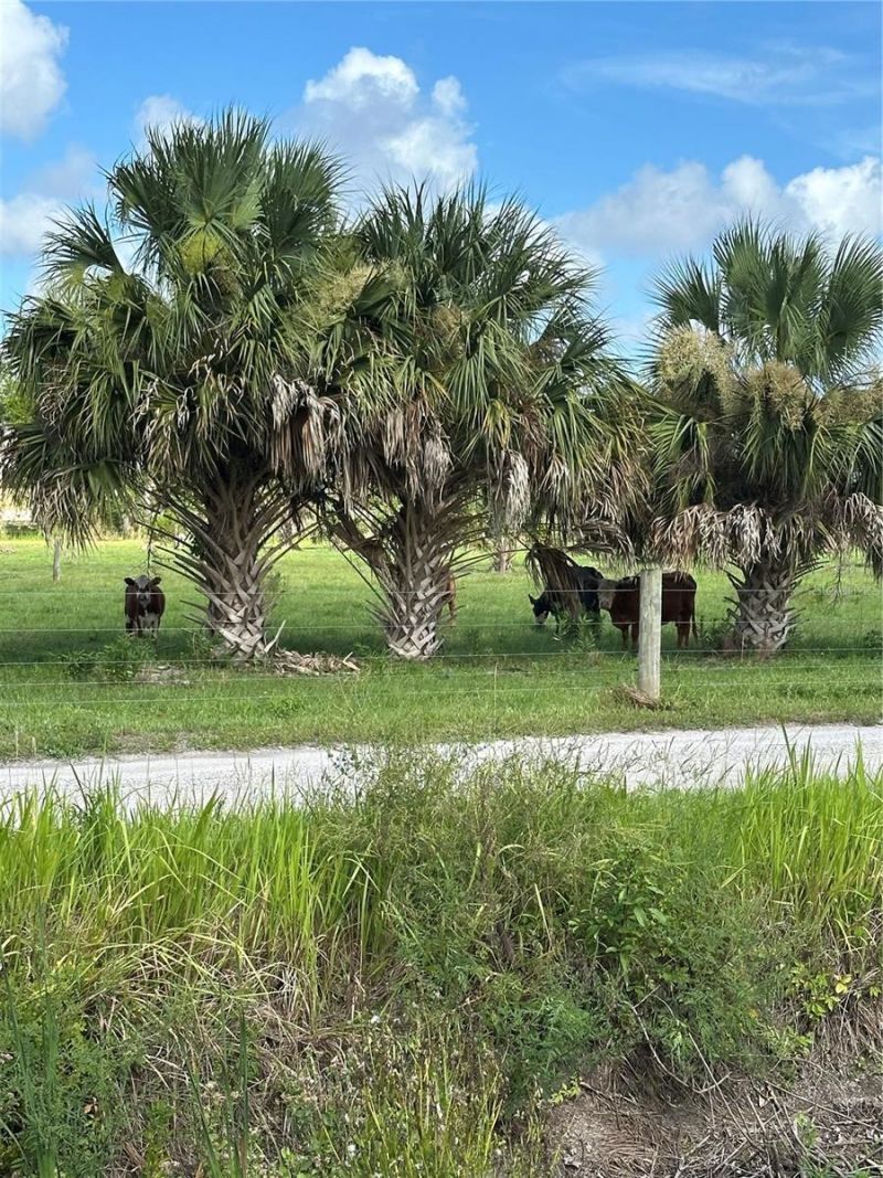 1475 Dalbora Road , Merritt Island, FL 32953 Photo