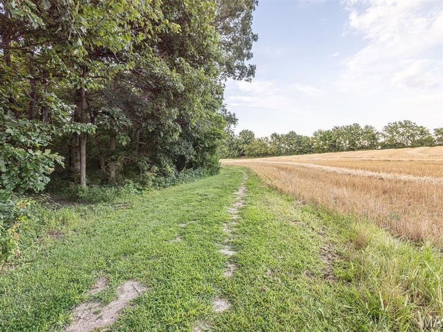Property Image 64