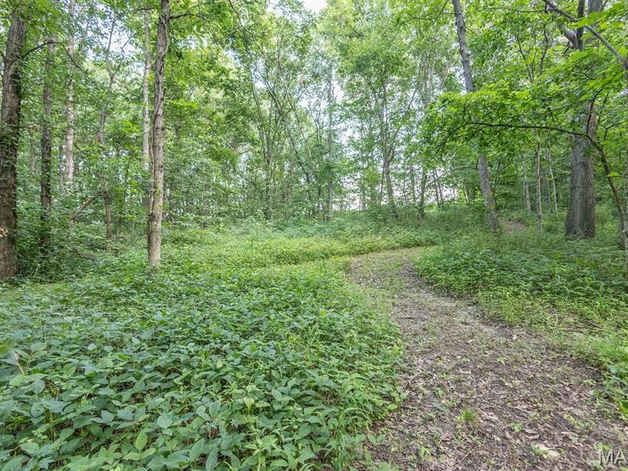 Property Image 65