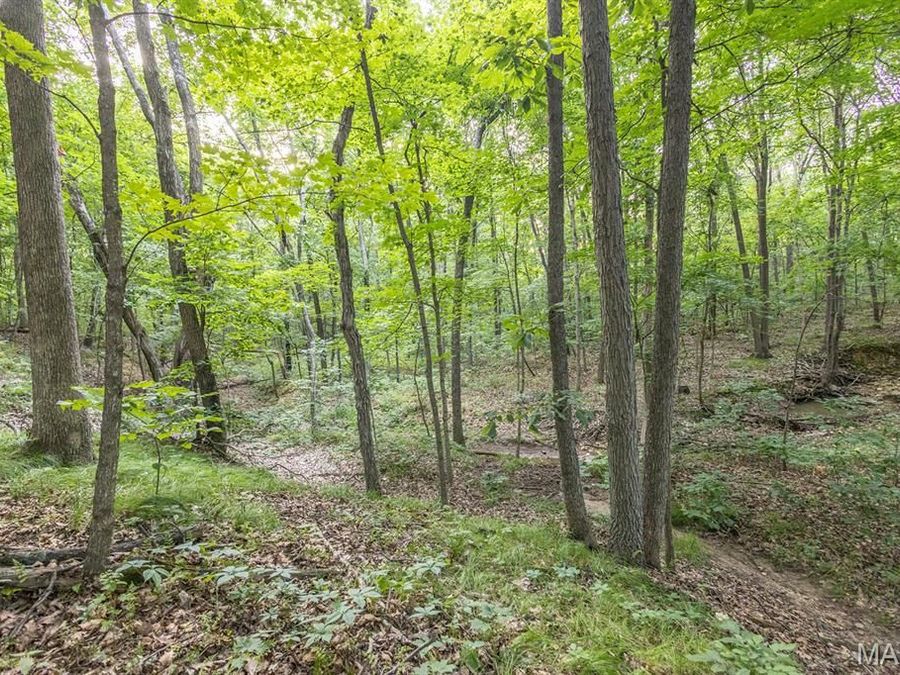 Property Image 66