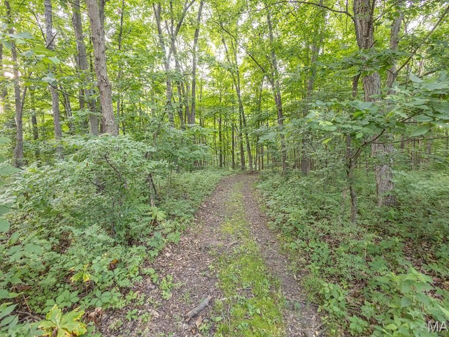 Property Image 67