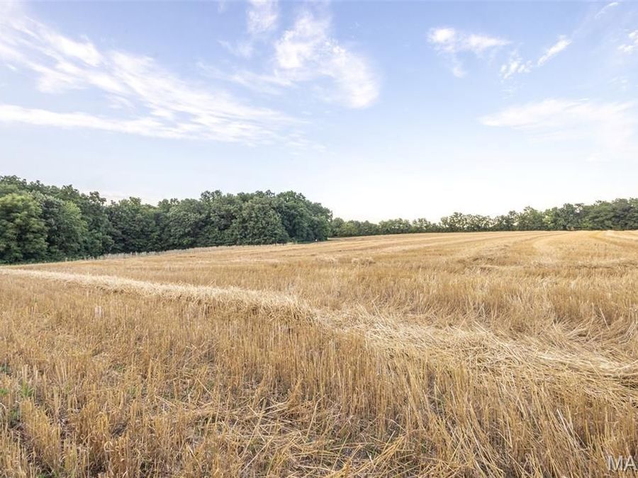 Property Image 69
