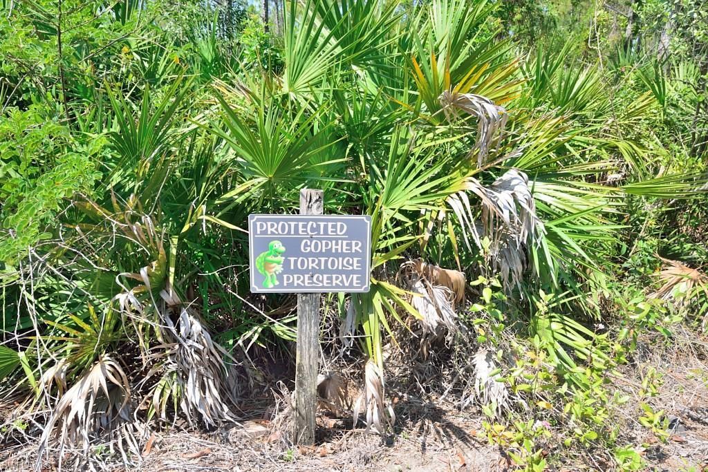 20111 Bravada St , Unit 3, Estero, FL 33928 Photo