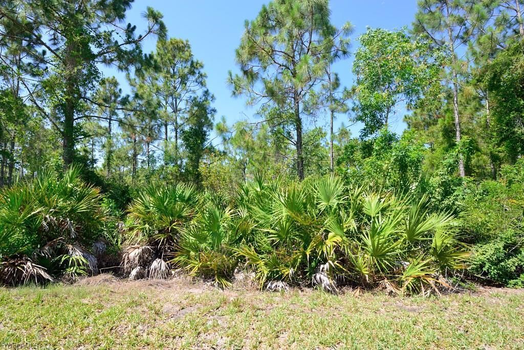 20111 Bravada St , Unit 3, Estero, FL 33928 Photo