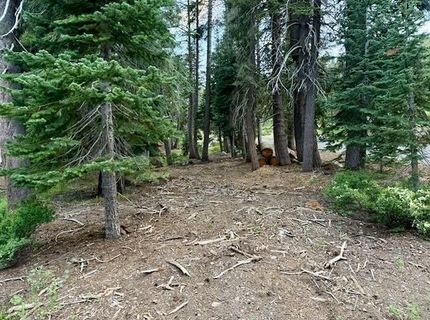 Quaking Aspen Rd, Bear Valley, CA 95223 Photo