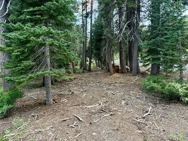 Quaking Aspen Rd, Bear Valley, CA 95223
