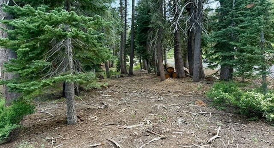 Quaking Aspen Rd, Bear Valley, CA 95223 Photo