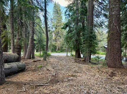 Quaking Aspen Rd, Bear Valley, CA 95223 Photo