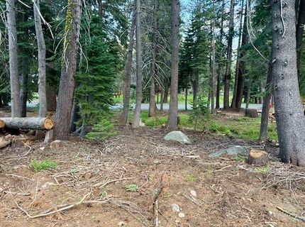 Quaking Aspen Rd, Bear Valley, CA 95223 Photo