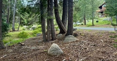 Quaking Aspen Rd, Bear Valley, CA 95223 Photo