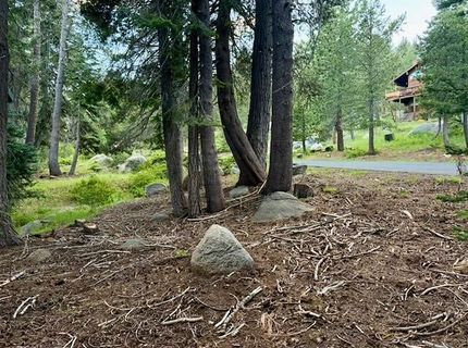 Quaking Aspen Rd, Bear Valley, CA 95223 Photo