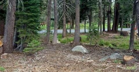 Quaking Aspen Rd, Bear Valley, CA 95223 Photo