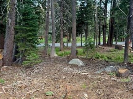 Quaking Aspen Rd, Bear Valley, CA 95223 Photo