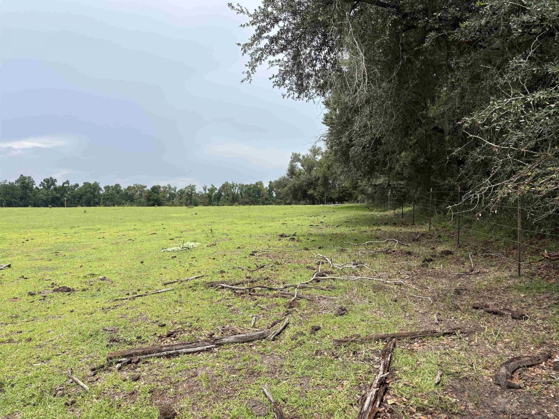 00 SW 65th Ln. , Jasper, FL 32052 Photo