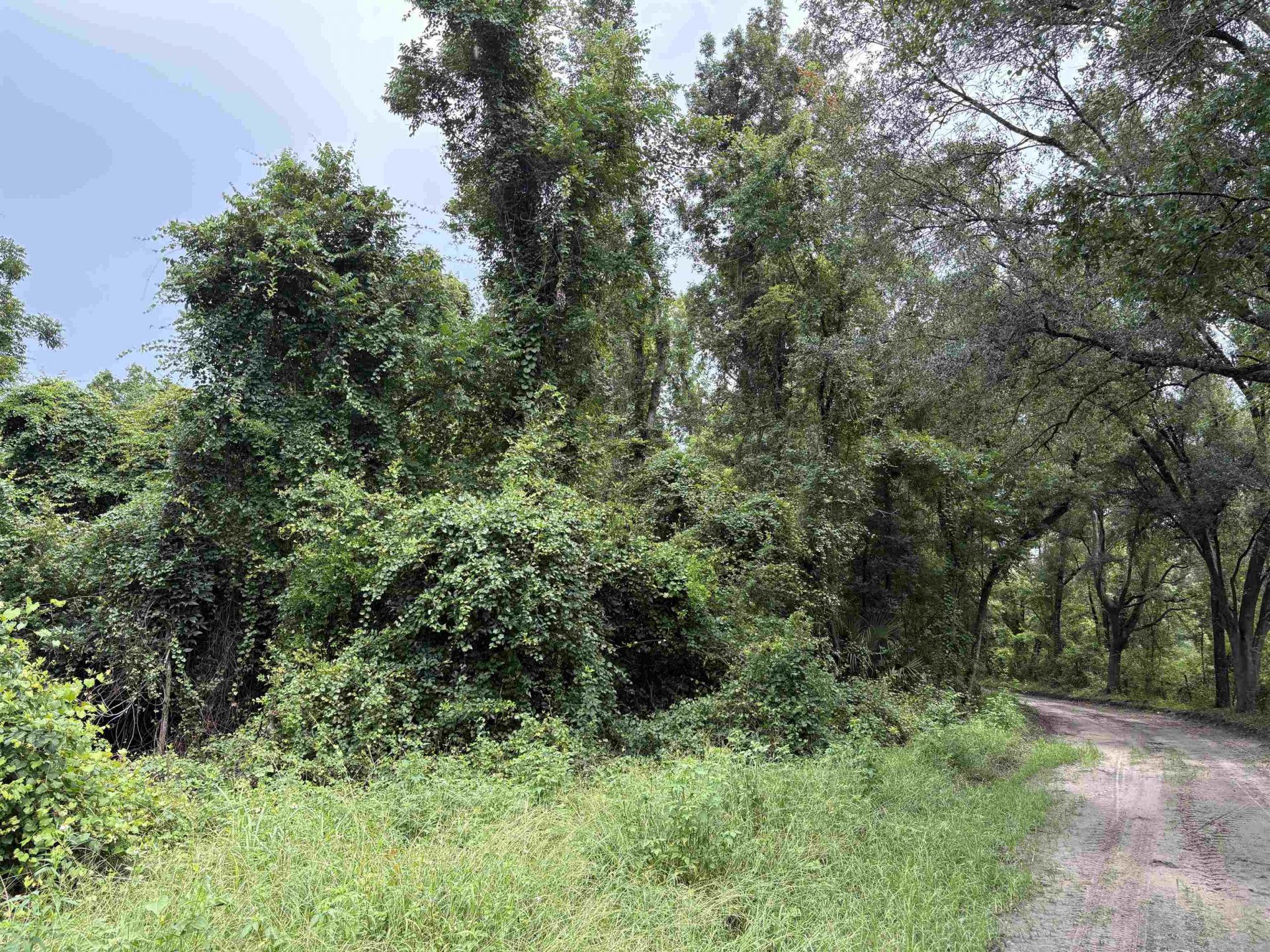00 SW 65th Ln. , Jasper, FL 32052 Photo