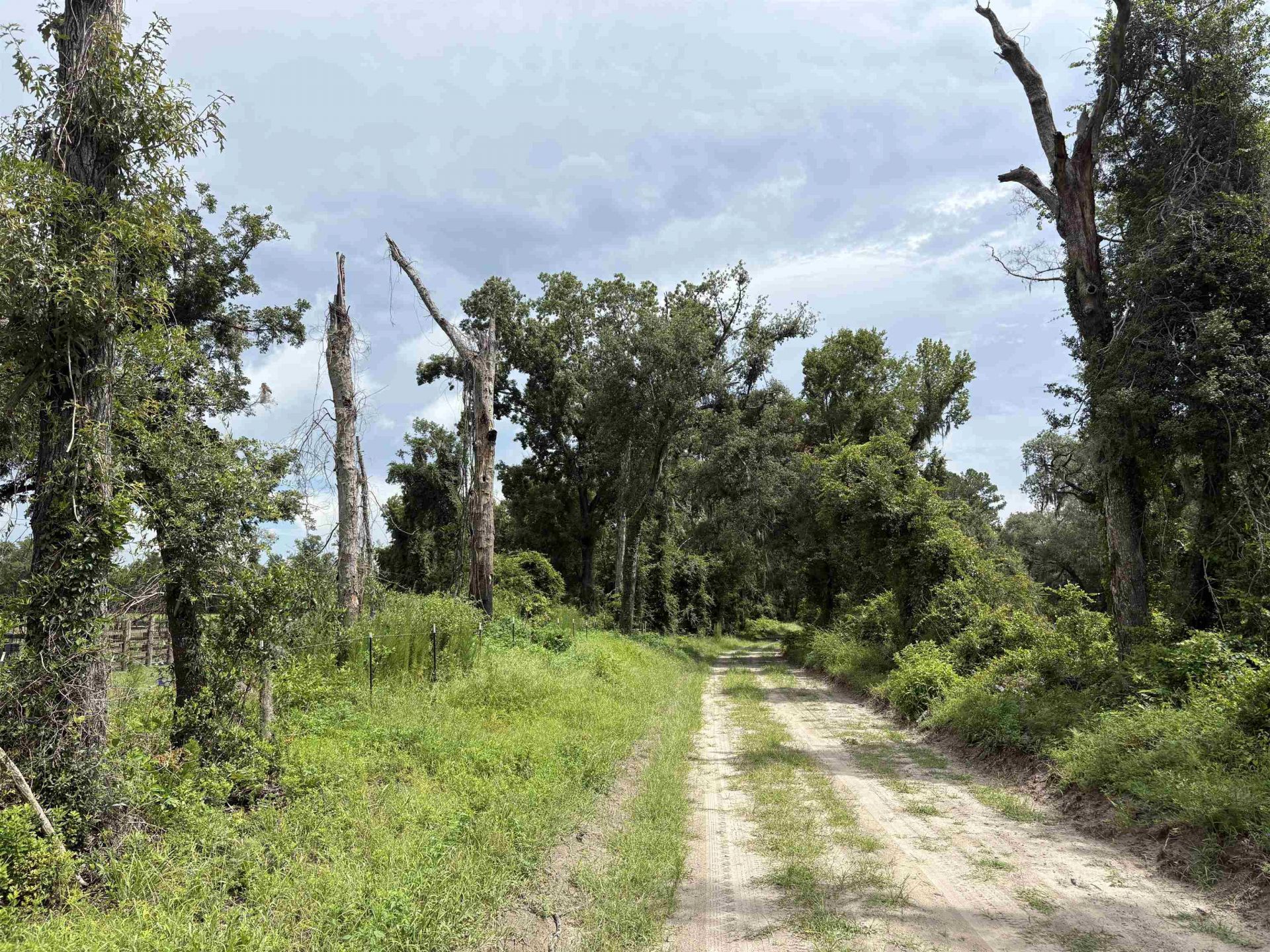 00 SW 65th Ln. , Jasper, FL 32052 Photo