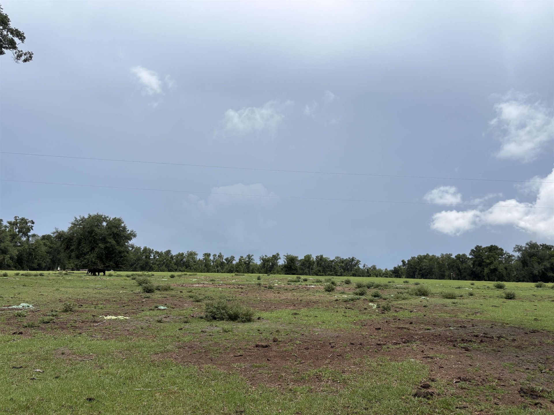 00 SW 65th Ln. , Jasper, FL 32052 Photo