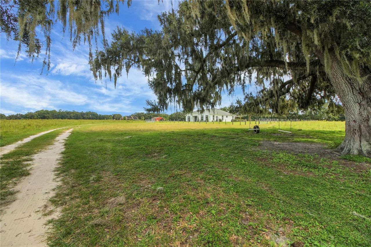10757 County Road 223, Oxford, FL 34484 Photo
