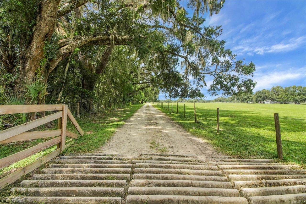 10757 County Road 223, Oxford, FL 34484 Photo
