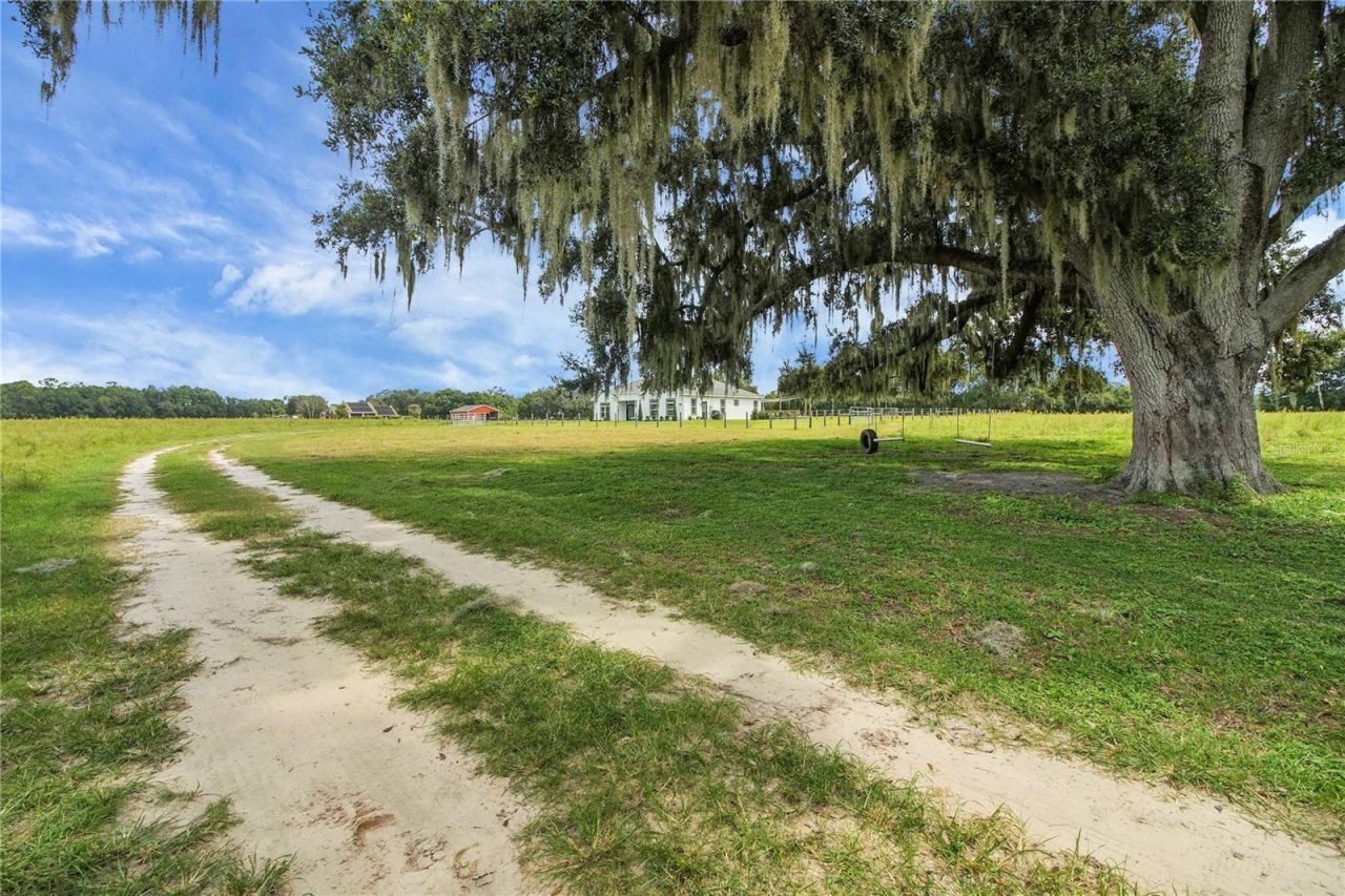 10757 County Road 223, Oxford, FL 34484 Photo