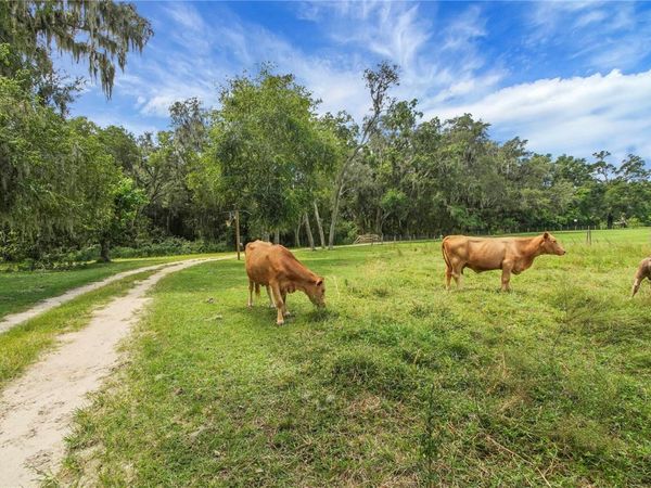 10757 COUNTY ROAD 223 , OXFORD, FL 34484