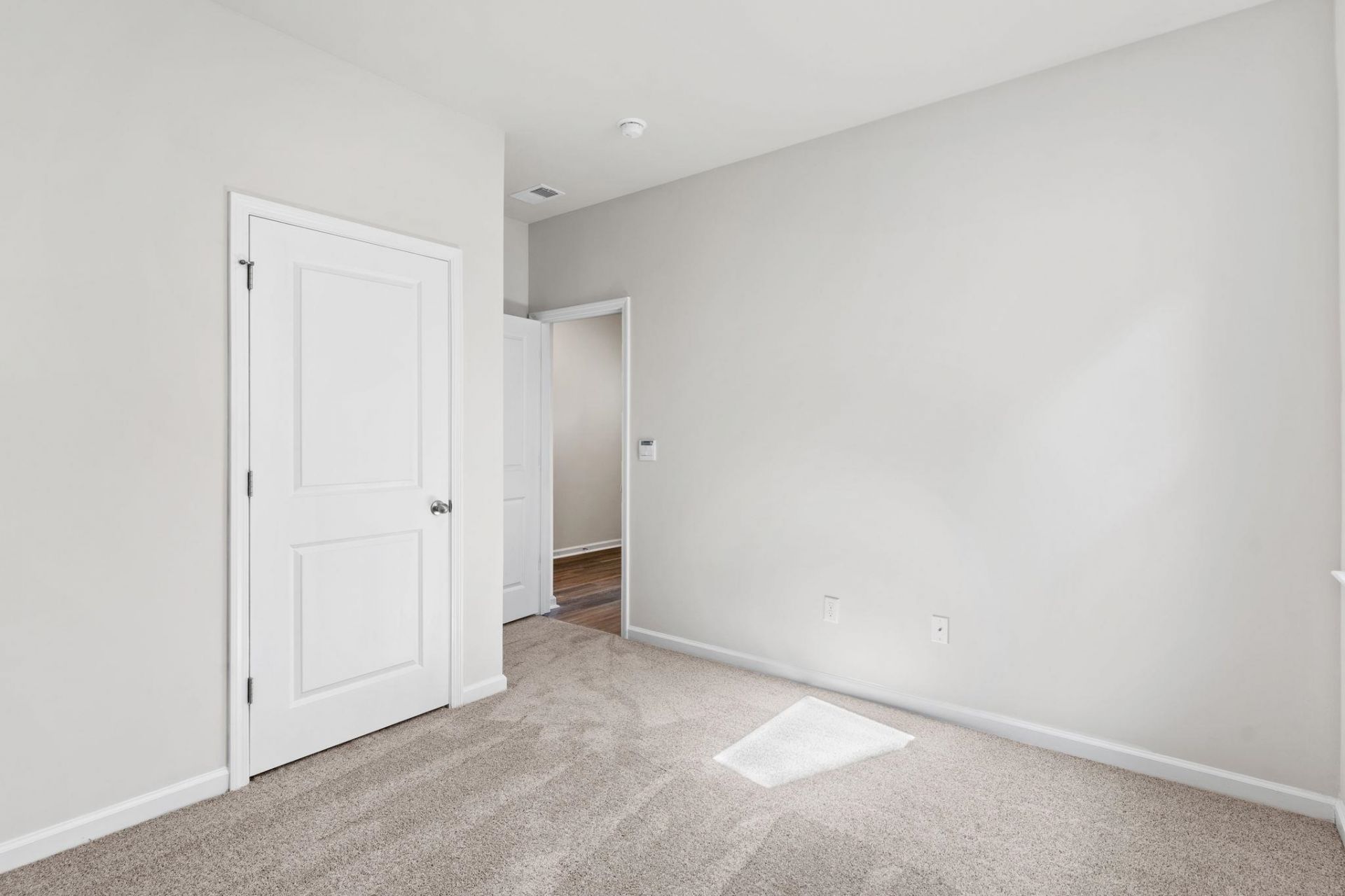 306 Ridley St Photo 18