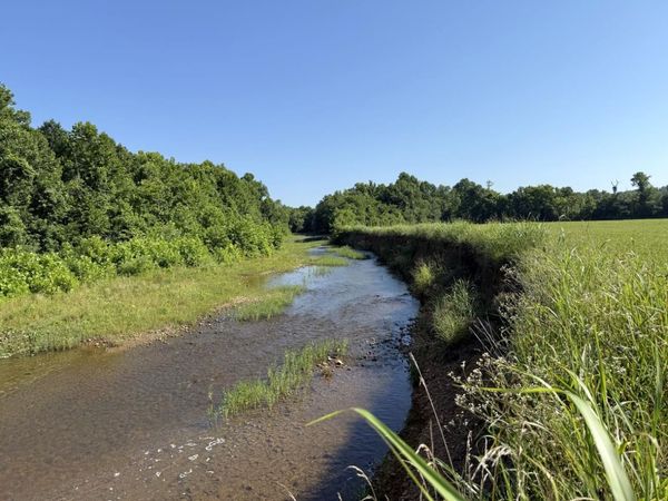 00 Hwy 63 , Williford, AR 72482