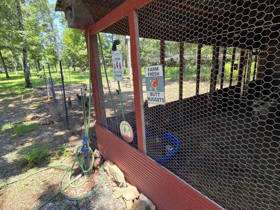 Property Image 41